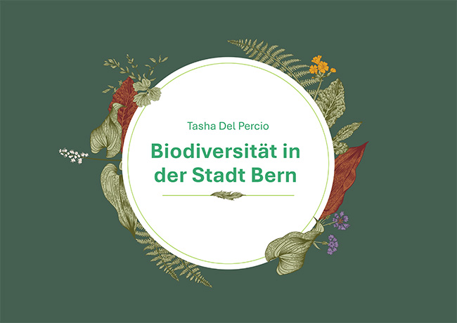 Biodiversität in der Stadt